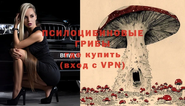 эйфоретик Алексин