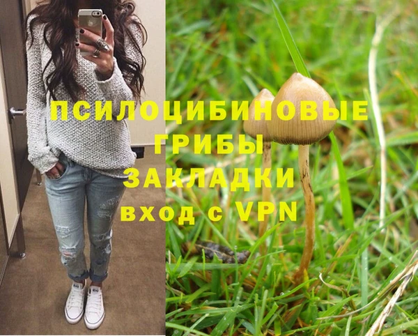 эйфоретик Алексин