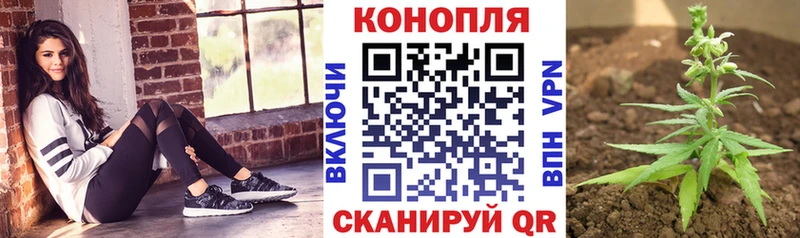 даркнет наркотические препараты Жирновск Бошки марихуана Ganja как найти наркотики